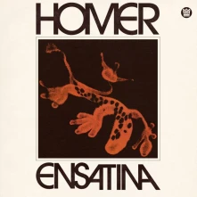 Vinyl ENSATINA