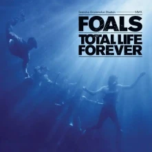 Vinyl TOTAL LIFE FOREVER