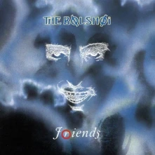 Vinyl FRIENDS