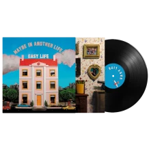 Vinyl Maybe In Another Life...