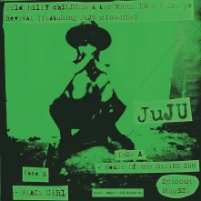 Vinyl 7-HOUSE OF THE RISING ...