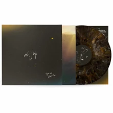 Vinyl HOPE WE HAVE FUN
