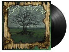 Vinyl DAYS OF THE NEW (II)
