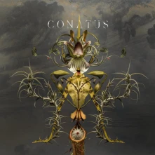 Vinyl BEVING JOEP - CONATUS