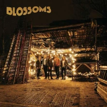 Blossoms, Vinyl BLOSSOMS