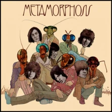 Vinyl Metamorphosis