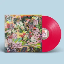 Vinyl YARN THE HOURS AWAY