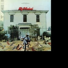 Vinyl Taj Mahal