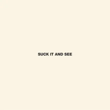 CD Suck It And See