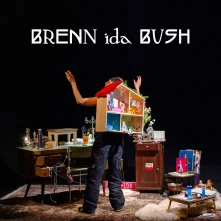 Vinyl BRENN IDA BUSH