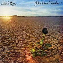Vinyl BLACK ROSE