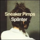 Vinyl SPLINTER