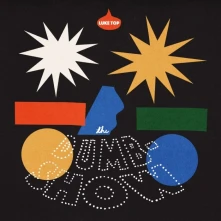 Luke Top, Vinyl THE DUMB-SHOW