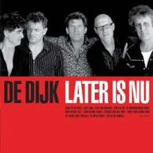 Vinyl LATER IS NU