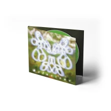 CD DELUSIONS