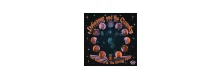 CD SHANNON & THE CLAMS - THE MOON IS IN THE WRONG PLACE
