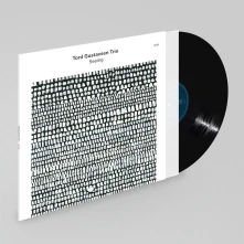 Tord Gustavsen Trio, Vinyl SEEING