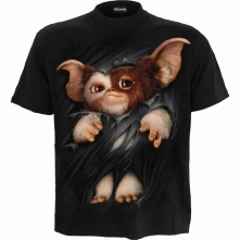 Gizmo thumbnail