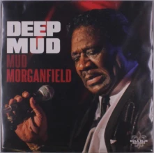 Vinyl DEEP MUD