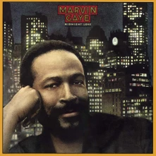 Marvin Gaye, Vinyl Midnight Love