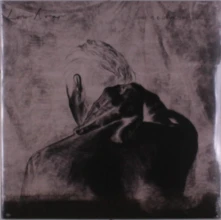 Vinyl LOW ROAR - ONCE IN A LONG, LONG WHILE