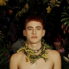 CD PALO SANTO