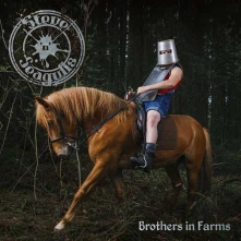 CD STEVE 'N' SEAGULLS - BROTHERS IN FARMS