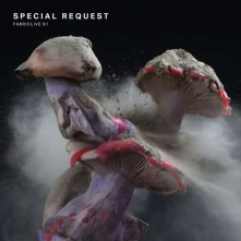CD FABRICLIVE 91: SPECIAL REQUEST