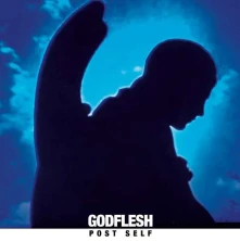 CD GODFLESH - POST SELF