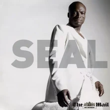 Seal, Vinyl Seal