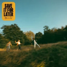 Vinyl SAVE IT FOR LATER