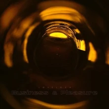 Vinyl BUSINESS & PLEASURE