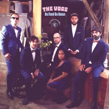 Vinyl Vogs, the - Du Fond Du Coeur