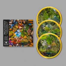CD ATWOOD-FERGUSON, MIGUEL - LES JARDINS MYSTIQUES VOL.1