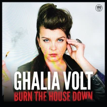 Vinyl BURN THE HOUSE DOWN