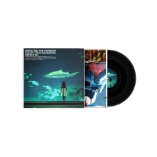 Bring me the horizon, Vinyl COUNT YOUR BLESSINGS -...
