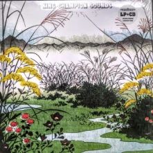 Vinyl FOR A LARK