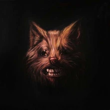 CD SWANS - SEER
