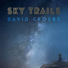 David Crosby, Vinyl LP) - DAVID CROSBY