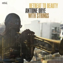 CD WITH STRINGS: RETREAT TO BEAUTY (OBLATION, VOL. 3: PROVIDENCE!)