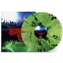 Vinyl DESTROYS WACKEN