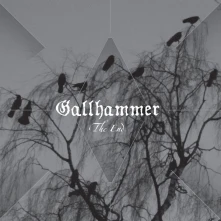 Gallhammer, Vinyl THE END