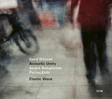 CD NILSSEN, GARD -ACOUSTIC U - ELASTIC WAVE