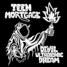 Teen Mortgage, CD DEVIL ULTRASONIC DREAM