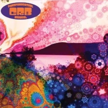 Chris Robinson Brotherhood, CD BROTH... - PHOSPHORESCENT HARVEST