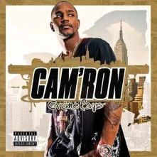 Cam'ron, Vinyl Crime Pays