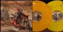 Vinyl LEGENDS