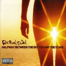 CD HALFWAY BETWEEN THE GUTTER & THE STARS