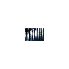 CD Anom Vitruv - 6.4311