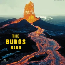 Vinyl BUDOS BAND